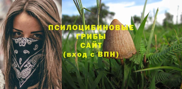 2c-b Михайловск