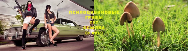 прущая мука Навашино