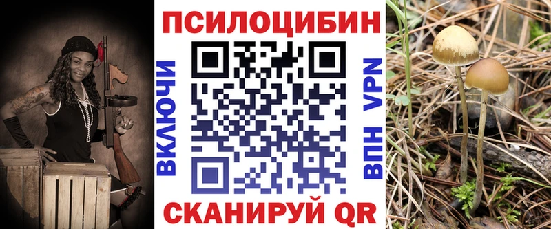 Псилоцибиновые грибы ЛСД  продажа наркотиков  Новоалтайск 