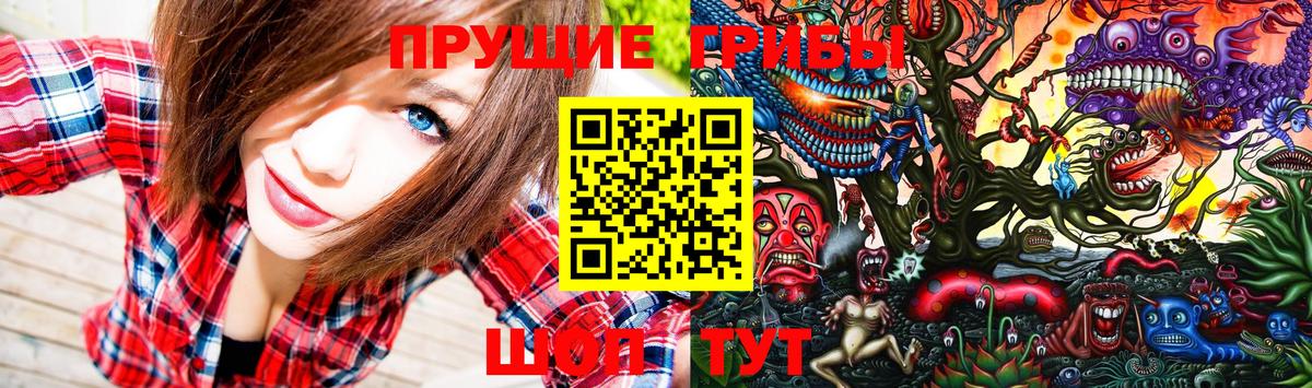 Псилоцибиновые грибы прущие грибы Новоалтайск
