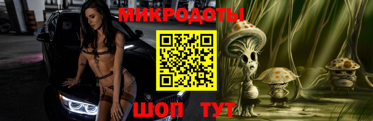 Галлюциногенные грибы Magic Shrooms  Вход с VPN  Новоалтайск  Псилоцибиновые грибы Psilocybe 