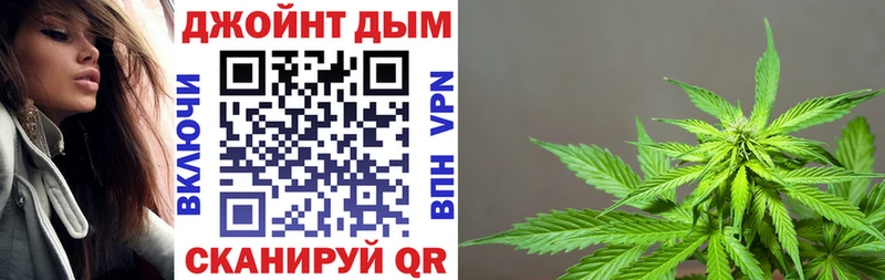 где найти   Новоалтайск  Шишки марихуана Ganja 